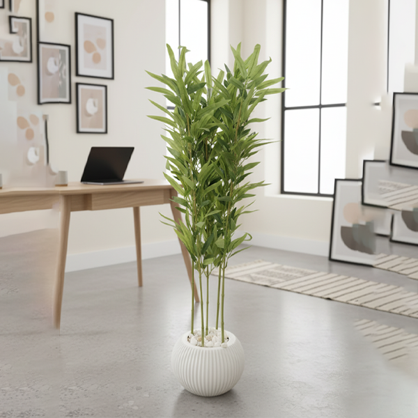 Bamboo Tree-NT01