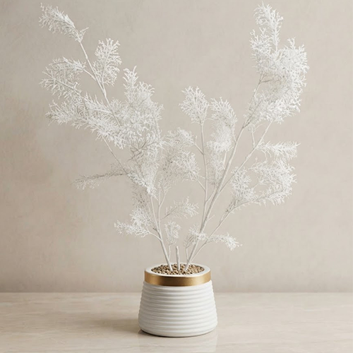 White Preserved Astilbe in Gold-Rimmed Vase-2s 27