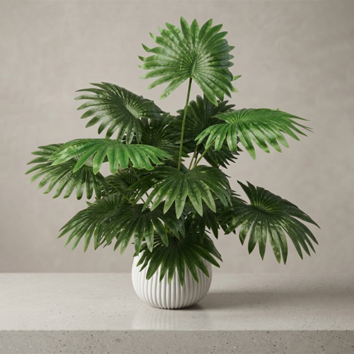 Decorative Palm Tree with Acrylic Pot-w137