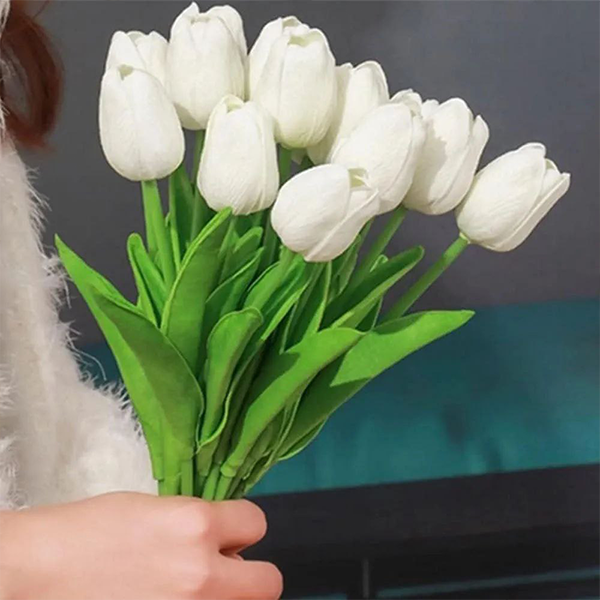 Tulip flowers